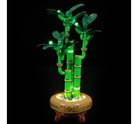 YEABRICKS LED Light for 10344 The Botanical Collection Lucky Bamboo Building Blocks Model (Building Set NOT Included)