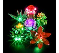 YEABRICKS LED Light for Lego-10309 Creator Succulents Building Blocks Model (Lego Set NOT Included)