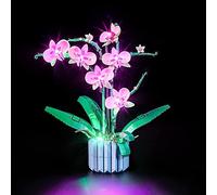 YEABRICKS LED Light for Lego-10311 Creator Orchid Building Blocks Model (Lego Set NOT Included)
