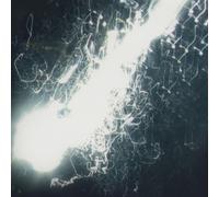 YEAH GHOST - D2C ONLY