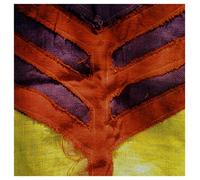 Yeah Yeah Yeahs - Show Your Bone