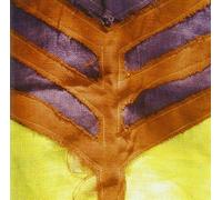 Yeah Yeah Yeahs - Show Your Bones