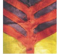 YEAH YEAH YEAHS - Show Your Bones (reissue) - PURPLE & ORANGE VINYL LP
