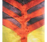 Yeah Yeah Yeah's - Show Your Bones [VINYL]