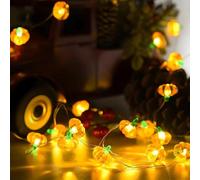 YeahBoom Pumpkin Fairy Lights Battery, 2 m 20 LED Pumpkin Autumn Decoration Indoor, Pumpkins Autumn Fairy Lights, Mini Fairy Lights Indoor, Thanksgiving Autumn Decoration, Autumn Decorations Halloween