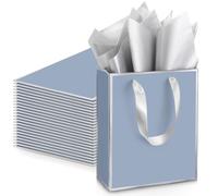 Yeaqee 24 Pack Metallic Paper Gift Bags with Handle and Tissue 9x7x3.1 Gold Foil Welcome Favor Bags Return Gifts for Wedding Fall 5 Senses Christmas Bridesmaid Birthday(Dusty Blue, Silver)