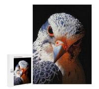 Year-End Present: Close-up of A Falcon's Face, 500 PCS, Decorative Jigsaw for Grown-Ups, for Relaxing Solo Or Group Play