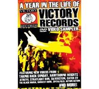 Year in the Life (Music Video Compilation)