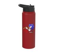 Year of Shadow: Fearless - Shadow the Hedgehog Stainless Steel Insulated Water Bottle