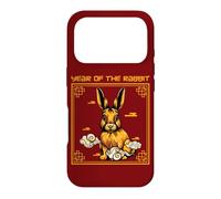 Year Of The Rabbit Chinese Zodiac Chinese New Year Horoscope Case for iPhone 17 Pro