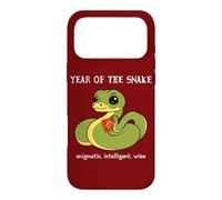 Year Of The Snake Cute Chinese Zodiac Chinese New Year Case for iPhone 17 Pro Max