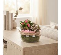 Year-Round Indoor Plant Arrangement - 16Cm Glass Bowl