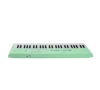 Yechiry 54 Key Electronic Piano Keyboard, Portable Music Keyboard for Kids with Microphone, Recording Function, 8 Tones 6 Songs 5 Rhythms 5 Percussions, USB Battery Powered (Green)