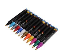 Yechiry Oil Based Paint Markers 12 Colors Non Odorless Toner Inks Fiber Tip Portable Storage Case for Art Professional Artists Beginners