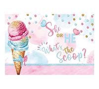 Yeele 10x8ft She or He What's The Scoop Backdrop for Photography Pink or Blue Ice Cream Gender Reveal Background for Newborn Baby Shower Gender Reveal Party Boy Or Girl Decor Photo Shoot Props Vinyl