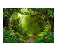 Yeele 10x8ft Tropical Rainforest Backdrop for Photography Fairytale Misty Wonderland Pathway Enchanted Forest Photography Background for Suburbs Picnic Camping Kids Adventure Photo Studio Props