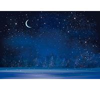 Yeele 5x4ft Winter Night Snowfall Snowflake Photography Backdrops Starry Sky Moon Blurry Fir Trees Pine Forest Background Merry Christmas Happy New Year Party Banner Decoration Studio Props
