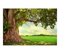 Yeele 7x5ft Grassland Huge Tree Backdrop Spring Summer Green Lawn Field Tree Natural Scenery Photography Background for Wedding Birthday Decor Outdoor Picnic Camping Hiking Photo Shoot Prop Vinyl