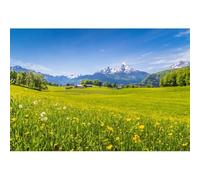 Yeele 7x5ft Spring Landscape Backdrop Yellow Flowers Green Grassland Blue Sky Cabins Alps Mountains Scene Photography Background for Hiking Camping Holiday Travel Party Decor Photo Shoot Props