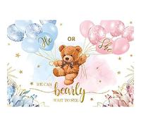 Yeele 7x5ft We Can Bearly Wait Backdrop Bear Baby Pink Blue Balloons We Can Bearly Wait to See He or She Gender Reveal Background for Baby Shower Gender Reveal Party Banner Photography Props Vinyl