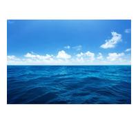 Yeele 8x6ft Blue Ocean Scene Backdrop Blue Sky White Clouds Sea Wave Natural Seascape Photography Background for Sea Theme Baby Shower Kids Birthday Party Decoration Photo Shoot Props Vinyl