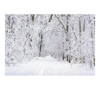 Yeele 8x6ft Winter Snow Scenic Backdrop for Photoshoot Snowy Forest Path Snowfield Landscape Background for Merry Christmas Happy New Year Decoration Photo Studio Shoot Props Vinyl Wallpaper
