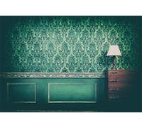 Yeele 9x6ft Vintage Room Interior Backdrop for Photography Antique Green Rococo Old Wall Background Kids Adult Photo Booth Shoot Vinyl Studio Props