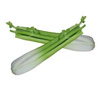 yeeplant 2 Pcs Artificial Celery Sticks, 12.6 in / 32 cm Long, PU Material Realistic Fake Celery Model for Kitchen, Dining Table, Home Decor