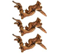 yeeplant 3 Pcs Driftwood for Aquarium, 7.9-9.8 in Azalea Root Wood, Assorted Natural Shapes, Freshwater Aquarium Driftwood, Reptile Terrarium Decorations