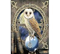 YEESAM ART 5D Diamond Painting Kits - Owl Bird Magic Crystal Ball 30x40 cm - DIY Crystals Diamond Rhinestone Painting Pasted Paint by Number Kits Cross Stitch Embroidery