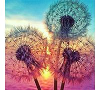 YEESAM ART DIY 5D Diamond Painting Full Drill, Dandelion Flower Sunset 30x30cm Diamond Art Mosaic Crafts Embroidery Kits (Dandelion 1)