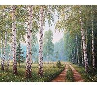 YEESAM ART DIY Paint by Numbers for Adults Beginner Kids, White Birch Trees Forest Path 16x20 inch Linen Canvas Acrylic Stress Less Number Painting Gifts (Trees, with Frame)