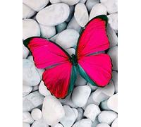 YEESAM ART New 5D Diamond Painting Kit - Red Butterfly - DIY Crystals Diamond Rhinestone Painting Pasted Paint by Number Kits Cross Stitch Embroidery