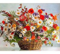 YEESAM ART Paint by Numbers for Adults Beginners Daisy Poppies 16x20 inch Linen Canvas Acrylic DIY Number Painting Kits Wall Art Decor Gifts (Without Frame)