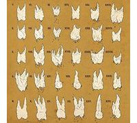 YEESH - CONFIRMATION BIAS - Vinyl Record - B600z