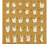 YEESH - CONFIRMATION BIAS - Vinyl Record - D600z