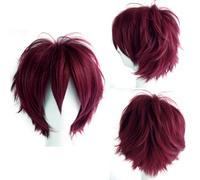 YEESHEDO Unisex Short Bob Anime Cosplay Dark Red Wigs Full Natural Layer Straight Fluffy Hair Costume Party Fancy Dress Wig for Women Men (Wine Red)