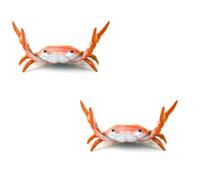 yeesoong Decorative Crab Pen Holder, Desktop Brush Organiser, Halloween Desk Accessory, Orange
