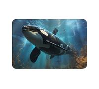 yefan Huge killer whales Front door mat, absorbent and stain-resistant welcome mat, suitable for entrances, 60 x 40 cm.