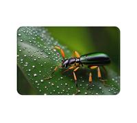 yefan Rainbows Insects Doormat, Washable Entryway Doormat, 23.6 X 15.7 Inches,& Suitable For Both Indoor And Outdoor Use.