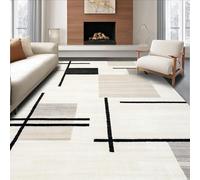 YEGRFJIS Modern Minimalist Rug - Gray/White/Black Geometry, Soft, Washable & Anti-Slip Carpet, For Living Room, Bedroom, Cloakroom, Lines/Blocks (100x120cm/Multicolor)