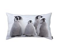 Yekiua Emperor Penguin Chicks Pillow Cases Snow Hill Emperor Penguin Colony Antarctica Pillow Sham Throw Pillow Covers One Side Printing 20X36 Inches King Size