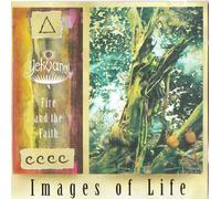 Yekuana - Images of Life: Fire and the Faith