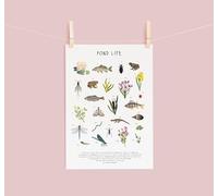 Yelacecca Pond Life Poster Pond Identification Chart Pond Lovers Gift British Wildlife Pond Poster Garden Nature Poster Wildlife Funny Gift Metal Signs 8X12 Inch