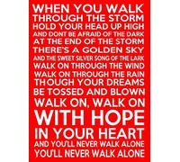 Yelacecca When You Walk Through The Storm Funny Vintage Metal Sign Poster 8X12 Inches