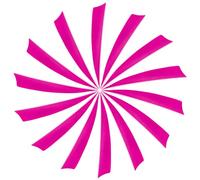 YELARXI Arrow Vanes Turkey Archery Arrows Feather Fletching, 4 Inch Left Wing Fit for Hunting Target Shooting (25Pcs Pink)