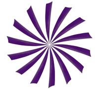 YELARXI Arrow Vanes Turkey Archery Arrows Feather Fletching, 4 Inch Left Wing Fit for Hunting Target Shooting (25Pcs Purple)