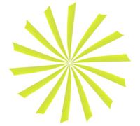 YELARXI Arrow Vanes Turkey Archery Arrows Feather Fletching, 5 Inch Left Wing Fit for Hunting Target Shooting (25Pcs Neon Yellow)