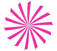 YELARXI Arrow Vanes Turkey Archery Arrows Feather Fletching, 5 Inch Left Wing Fit for Hunting Target Shooting (25Pcs Pink)