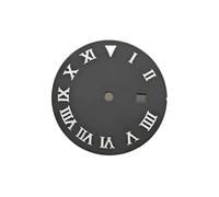 YELEMEABHB 24.5MM Women's Watch Dial Accessories for NH05 NH06 Movement Faces for Our 31mm Case dial(Silver Black)